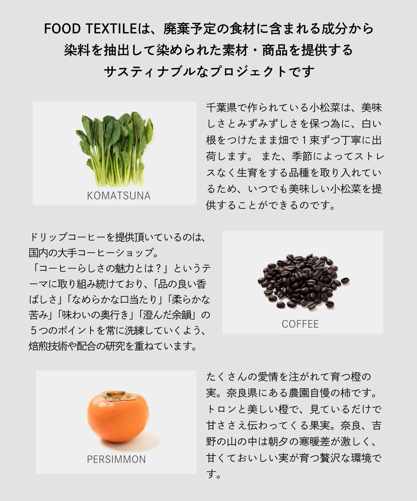 CityShedコラボオーガニックコットン吸水ショーツレギュラー