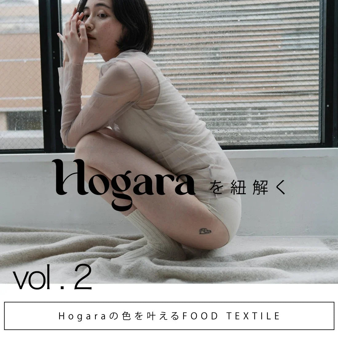 Hogaraを紐解く第二弾【Hogaraの色を叶えるFOOD TEXTILE】