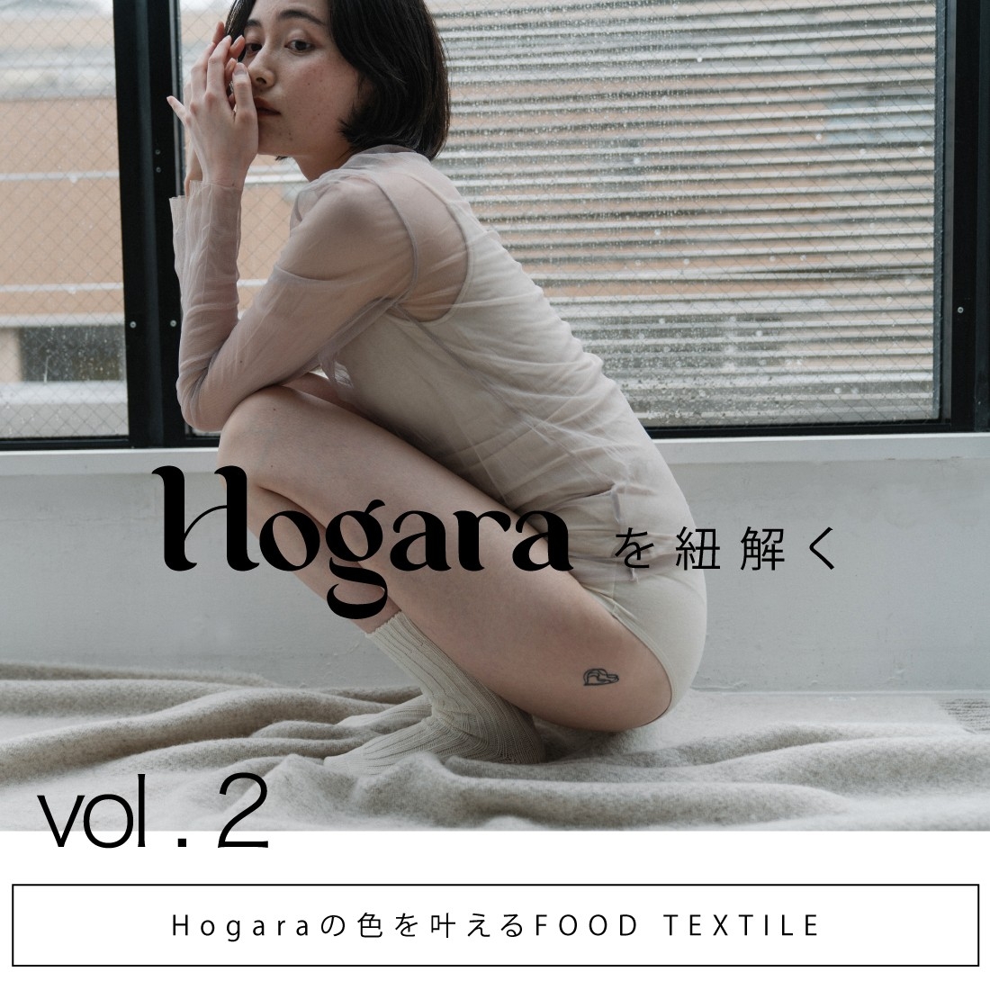Hogaraを紐解く第二弾【Hogaraの色を叶えるFOOD TEXTILE】